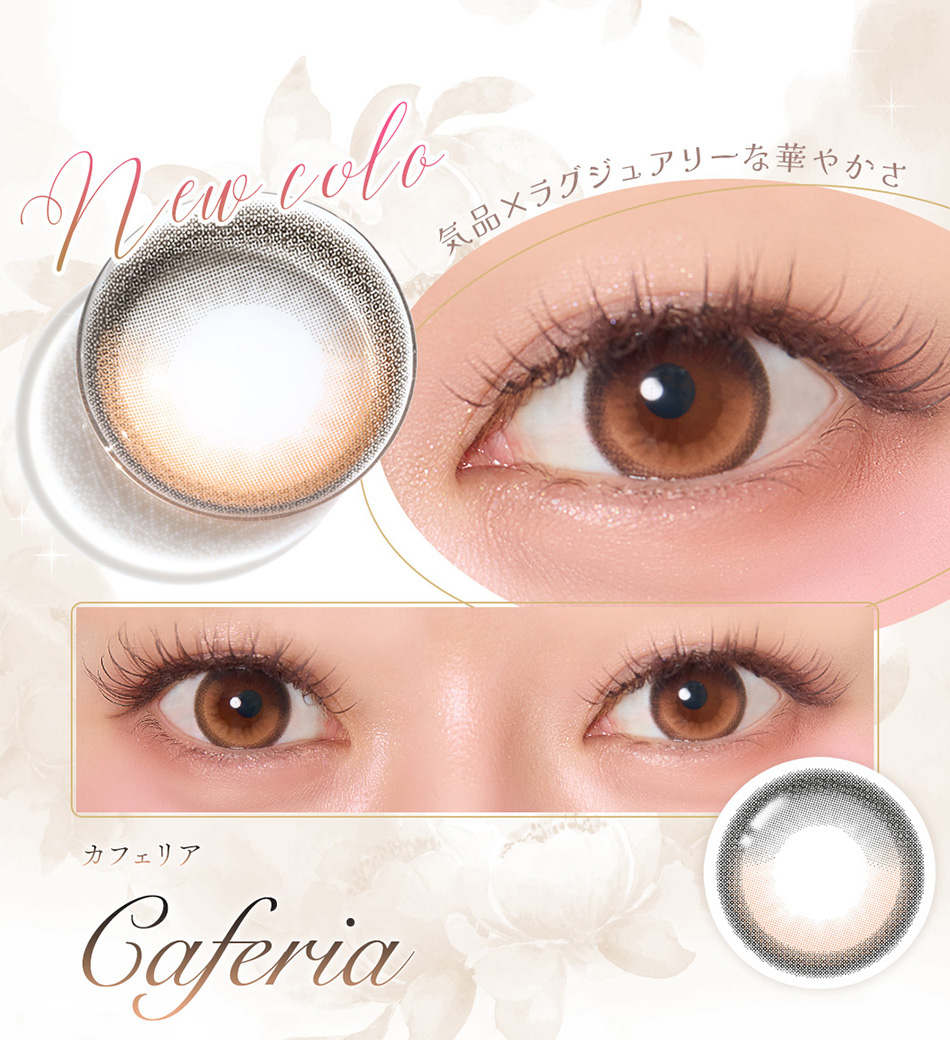 フェレーヌ（Ferenne）カフェリアレンズ詳細