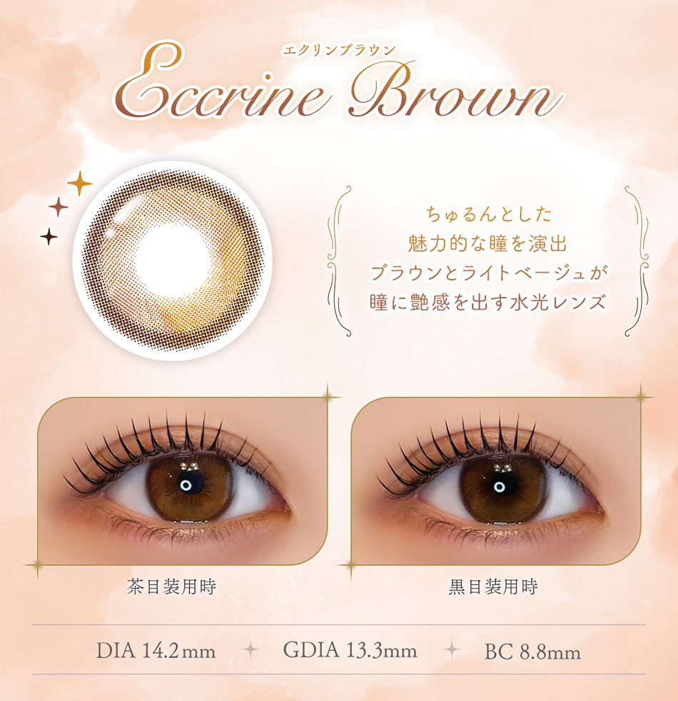 フェレーヌ（Ferenne）エクリンブラウンレンズ詳細