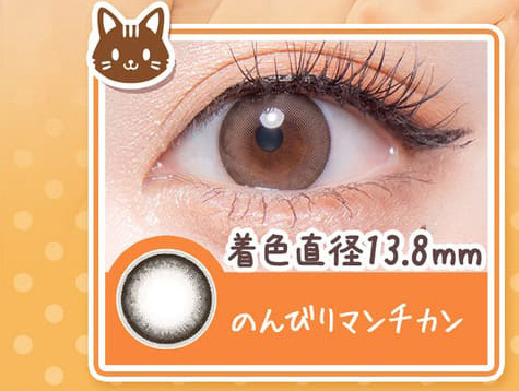 フルーリー ワンデー のんびりマンチカン装着画像