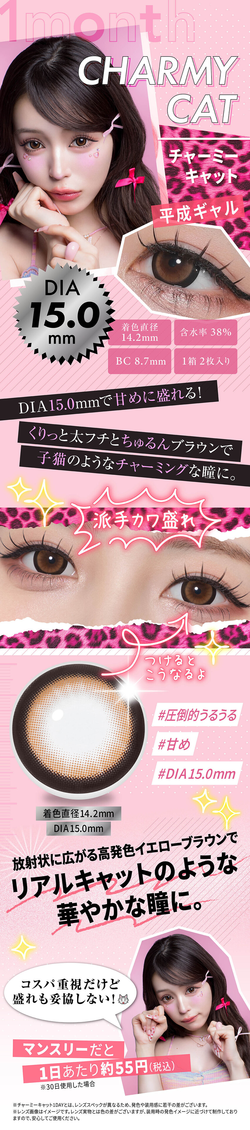 リセイ マンスリー チャーミーキャット画像