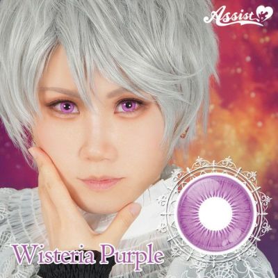 【6枚入】アシストシュシュ シュテラワンデー（Assist ChouChou Shutella 1Day） ウィステリアパープル【取り寄せ】