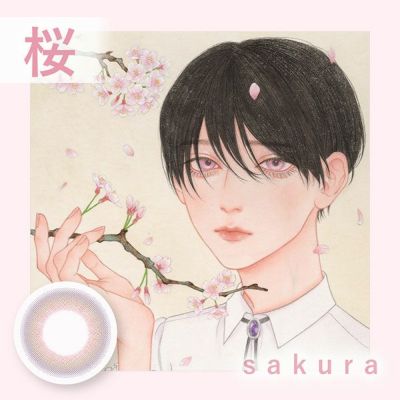 【2枚入】美少年画（Bishonenga ）桜【取り寄せ】