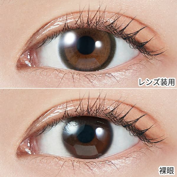 モラクマンスリー MOLAK 1month ブラウンバニー装着画像|コスプレカラコン通販アイトルテ