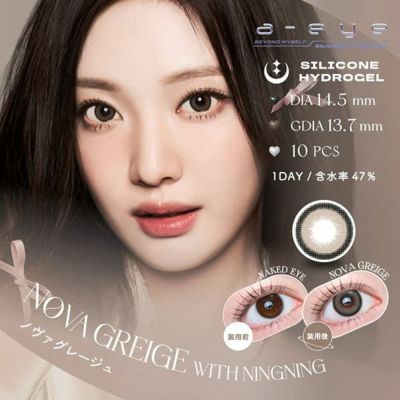 会員限定SALE！【10枚入】ワンデー リフレア エーアイ（1-DAY Refrear a-eye） ノヴァグレージュ【即納】