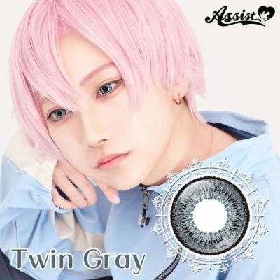 【6枚入】アシストシュシュ ツインループ ネオ（Assist ChouChou Twin Loop Neo）ツイングレー【取り寄せ】