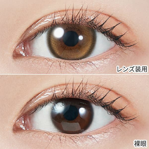 モラク ワンデー（MOLAK）トゥインクルブラウン装着画像|コスプレカラコン通販アイトルテ