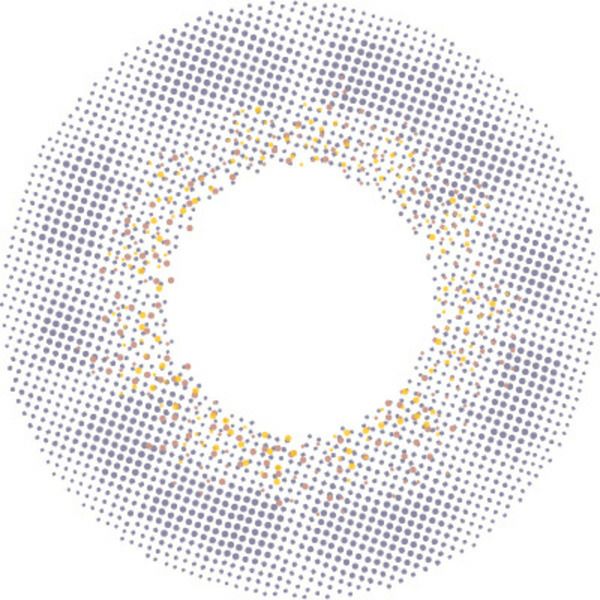 バンビシリーズ ヴィンテージワンデー ヴィンテージラベンダーレンズ画像|コスプレカラコン通販アイトルテ