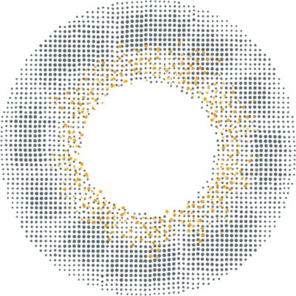 エンジェルカラー バンビシリーズ ヴィンテージワンデー ヴィンテージグレーレンズ画像|コスプレカラコン通販アイトルテ