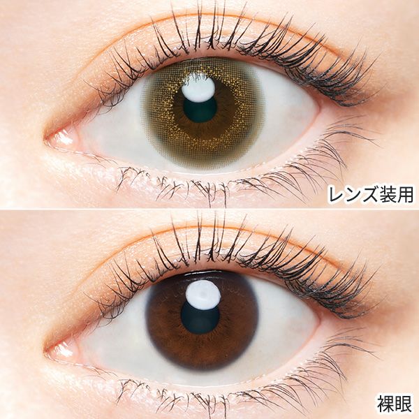 エンジェルカラー バンビシリーズ ヴィンテージワンデー ヴィンテージヘーゼルレンズ画像|コスプレカラコン通販アイトルテ