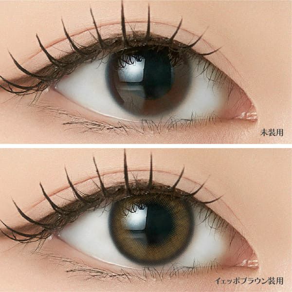 アンジェリーク ワンデー（Angelique 1day）イェッポブラウン装着画像|コスプレカラコン通販アイトルテ