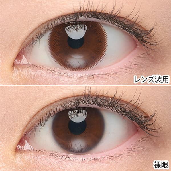 【10枚入】アーティラル ワンデー UV＆Moist（58%） ブラウン装着画像|コスプレカラコン通販アイトルテ