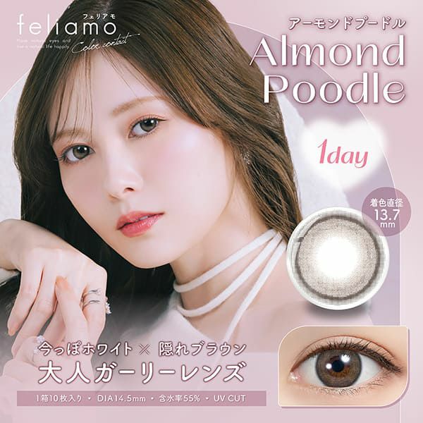 フェリアモ ワンデー（Feliamo 1day）アーモンドプードルメイン画像|コスプレカラコン通販アイトルテ
