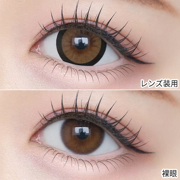 シャプン（Chapun）おめかしキャメル 装着画像