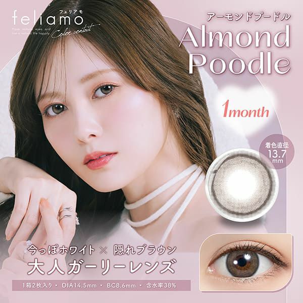 フェリアモ マンスリー（Feliamo 1month）アーモンドプードルメイン画像|コスプレカラコン通販アイトルテ
